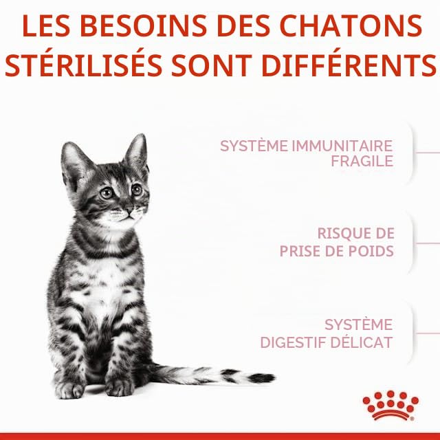 Royal Canin Kitten Sterilised | Pack de 3 | 3 x 400 g | Aliment Complet pour Chats | Spécialement conçu pour Les Chats castrés en Pleine Croissance, de 6 à 12 Mois