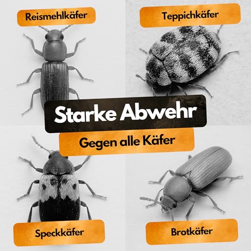 Gegen Käfer! – Insektenschutz Abwehrmittel Kanister – 5 L – Anwendungsfertig – Schutz vor Vorrats- & Materialschädlingen – Für Innenbereiche – Langzeitschutz – Bis 200 m² – PT19 Repellent