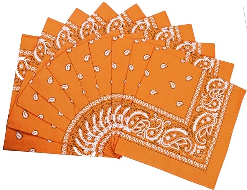 FANNI YOUPIN 100% Cotton Fine thick Bandanas/Fashion Scarf for Men & Women Paisley printed 22 inches (10, Orange 10)