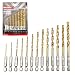 NORTOOLS 13 PCS HSS TiN Twist Drill Bits 1/4 Inch Quick Change Hex Driver Set for Wood Plastic Aluminum Alloy 1/16-1/4 Inch