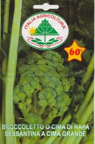 SEMENTI, CIMA DI RAPA SESSANTINA 60INA SEMI BROCOLETTI GR.100