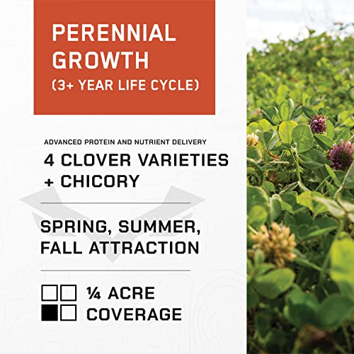 All-In-One Food Plot Seed + Fertilizer For Deer - 1/4 Acre Coverage - Perennial Blend - Protein And Micronutrients For Wildlife - Clovers And Chicory - Illusion Systems (Easy Greens) #TOP5