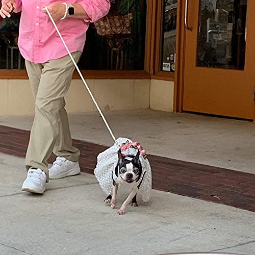 Pesp 120 cm 1,2 m Custom perle in rilievo Pet cane...