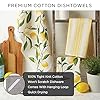 DII Cotton French Jacquard Dish Towels, Set of 3, Decorative Tea Towels for Everyday Kitchen Cooking and Baking-French Macaroons #5