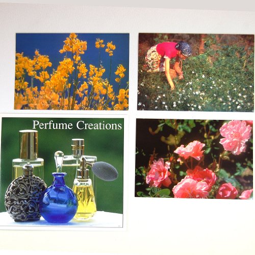 Perfume Creations