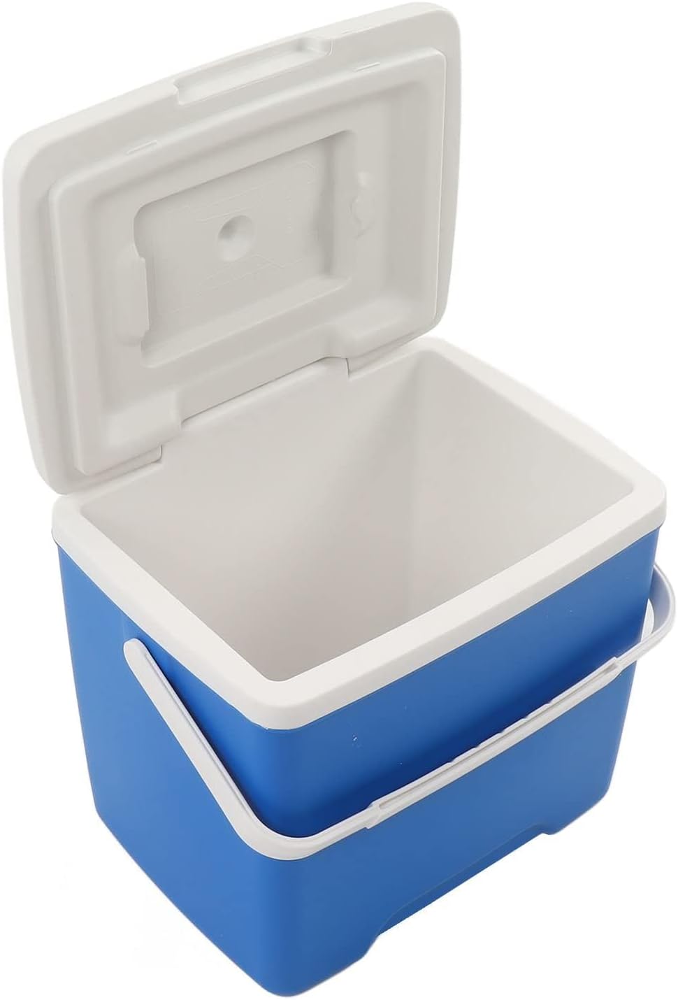 13.8L Insulated Portable Cooler, Ice Retention Hard Cooler, Keeps Ice up to 76 Hours, Ice Chest Lunch Box with Heavy Duty Handle for Picnic Camping Fishing.