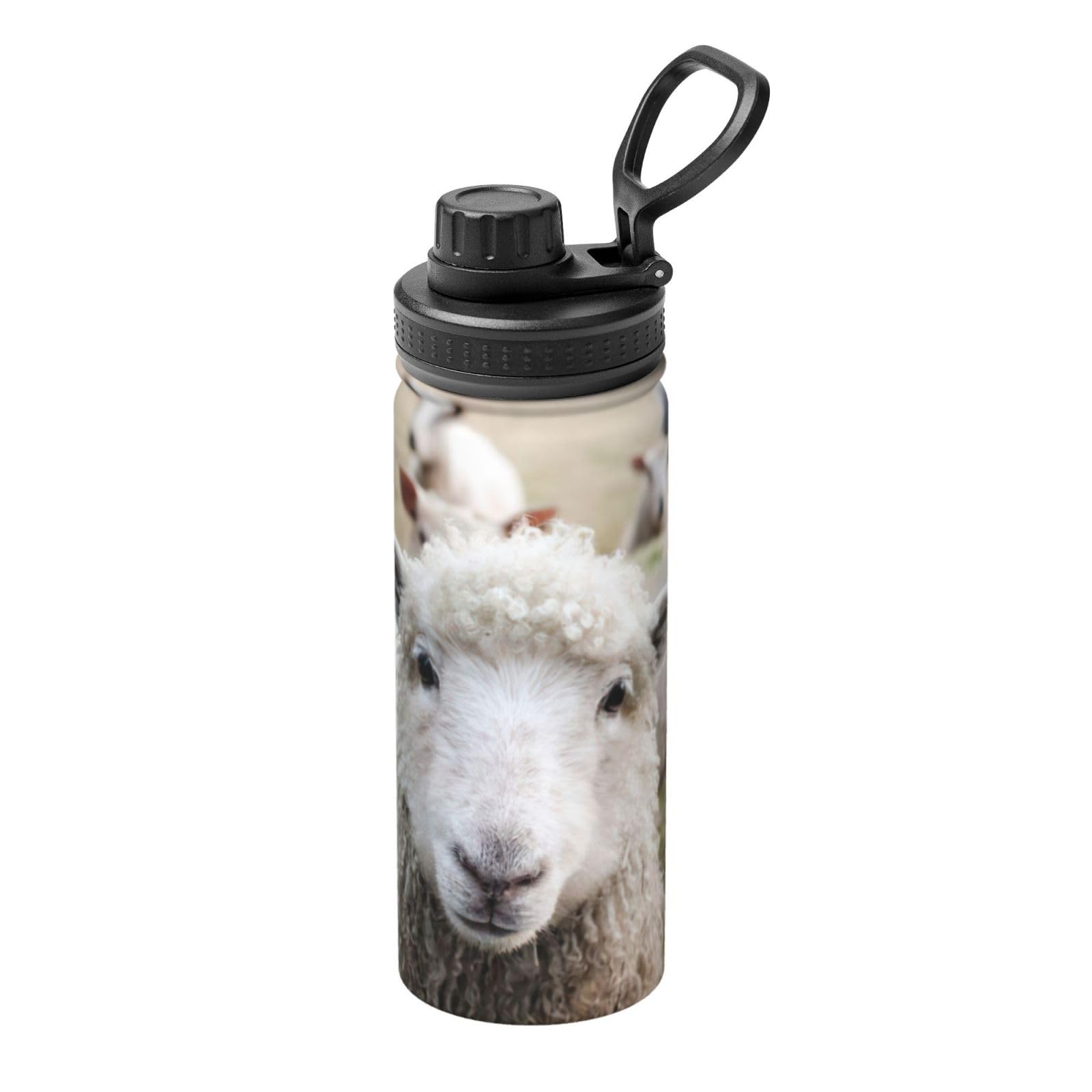 Bouteille inox motif mouton mignon 532 ml pour école bureau et pique-nique