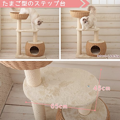 Amazon | Mauタワー シャルマン | Mau | キャットタワー 通販