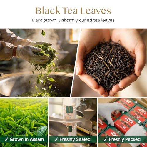 Image of VAHDAM, English Breakfast Black Tea Bags (100 Count) High Caffeine | Strong, Robust & Flavoury | Pyramid Tea Bags | Full Bodied Black Tea Leaves