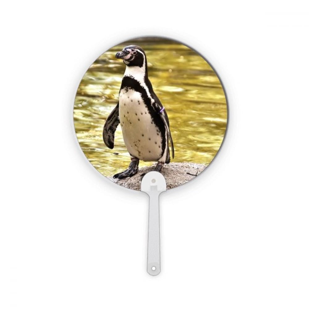 Pingouin Antarctique science nature rond pour sublimer votre étagère de salon