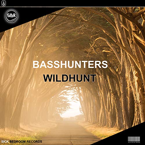 BassHunters