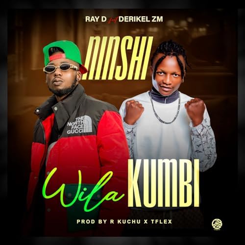 Play Ninshi Wila Kumbi by RAY DEE 408 feat. Derikel ZM on
