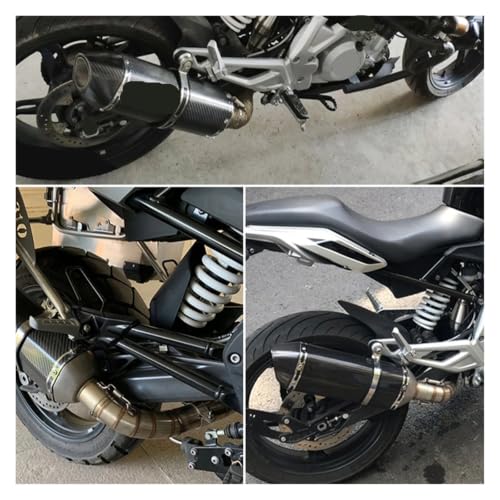 Section centrale d'échappement pour G310 R GS finition acier inoxydable - 3