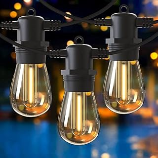 Festoon Lights Outdoor, GlobaLink 53FT/16M S14 Outdoor Garden LED String Lights, IP65 Waterproof Outdoor String Lights Main Powered 2700K 15+1(Spare) Bulbs for Outside Patio Terrace Yard Wedding Party