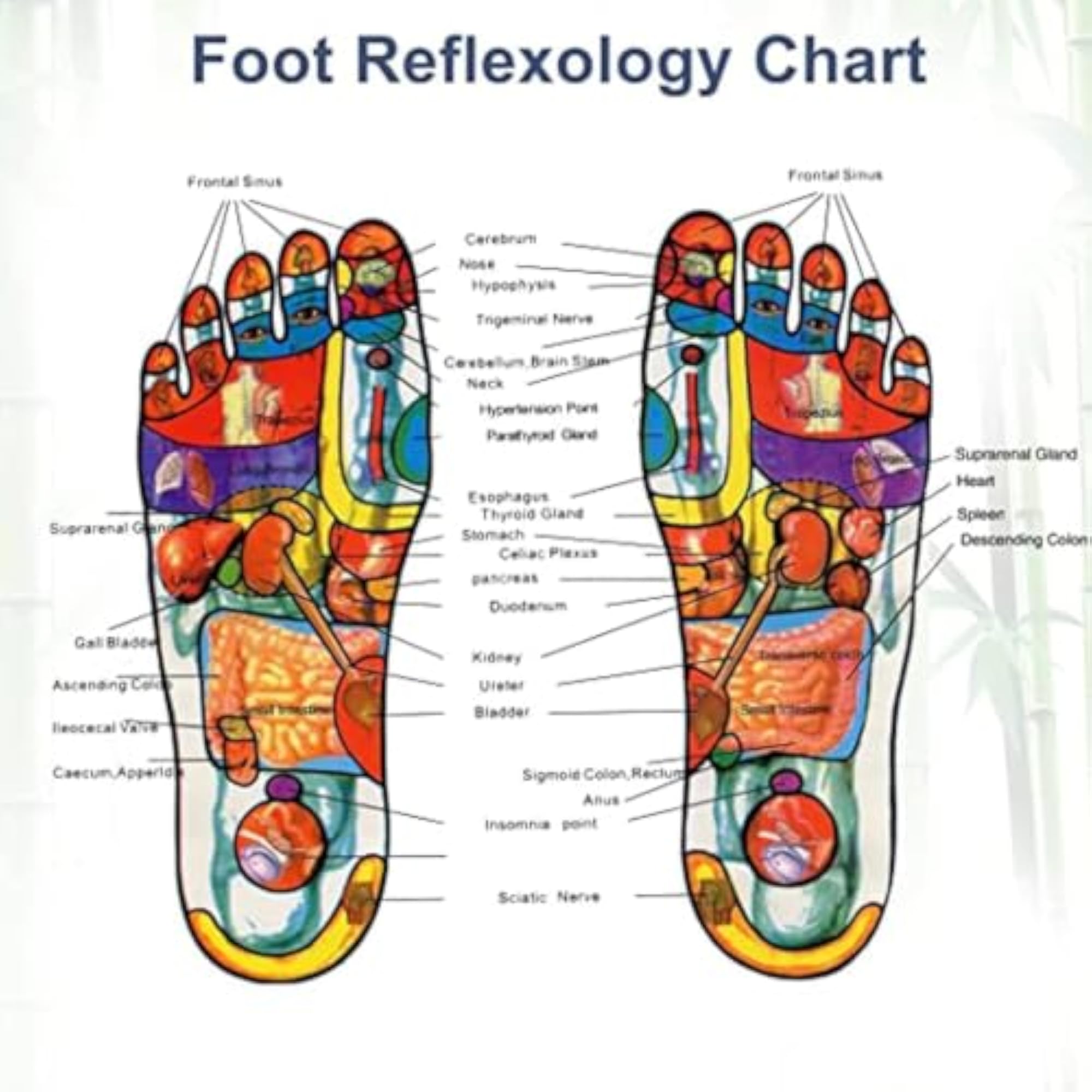 Ginger & Salt Detox Foot Pads - 10-Piece Set