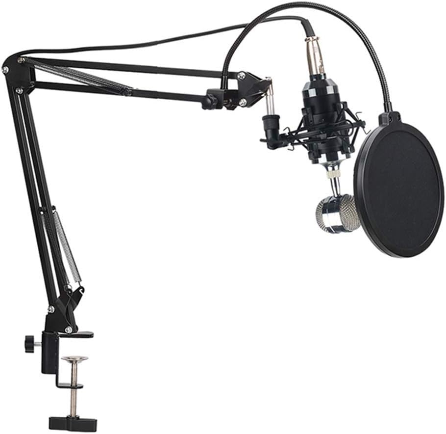 Microphone Stand with Pop Filter Heavy Duty Suspension Boom