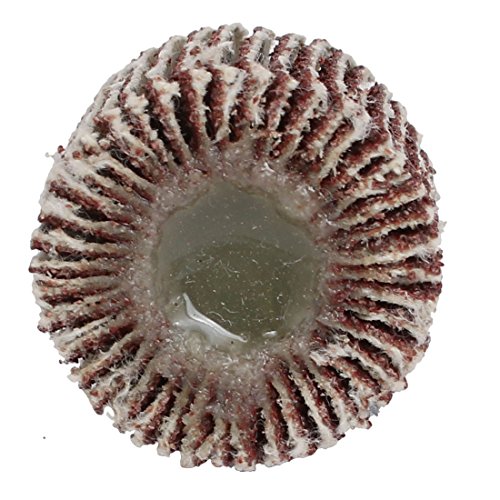 Aexit 25mm x Abrasives 25mm Polishing Sanding Abrasive Flap Wheel Model:12as224qo18