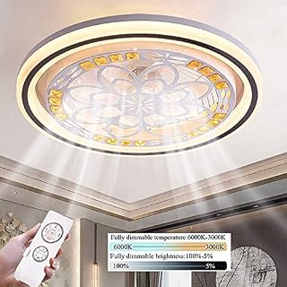 YZKJ Mute Ceiling Fan Light with Lights and Remote Control Ultra-thin 50CM Ceiling Lamp Invisible Quiet LED Dimmable Ceiling Fans Lighting for Bedroom with Remote Control Quiet Fan for Kids Room (2#)