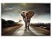 Produktbild kunst-discounter Bild Leinwandbilder Canvas Elefant Afrika Walking Elephant A05327 90 x 60 cm