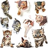 Sie Erhalten:10 verschiedene süße Cartoon-Katzen/Hund-Aufkleber (wc deckel aufkleber)sind in einem Paket enthalten(9 Katzen und 1 Hund).Die Größen sind:25,5x18cm(6,3x5cm); 18x18,5cm; 21x18,5cm; 23,5x18,3cm; 21x18,5cm; 19,5x18,5cm; 23,5x16,5cm(10x6cm);21,5x15,5cm; 23x15,5cm; 26,5x15,5cm. Sie können sie alle horizontal oder vertikal oder frei auf dem Raum platzieren, wie Sie möchten.Erfüllen Sie Ihre verschiedenen Bedürfnisse.