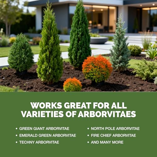 Arborvitae Liquid Fertilizer 1 Gal