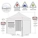 Eurmax USA 10'x10' Pop-up Canopy Tent Commercial Instant Canopies with 4 Removable Zipper End Side Walls and Roller Bag, Bonus 4 SandBags(Black)