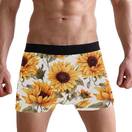 Sunflower Flower Men's Boxer Briefs S 202a37833
