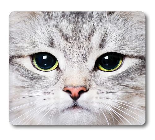 HAOSSUW Cute White Cat Pet Print Mouse Pad, Funny Kitten Kitty Face Look Closeup Portrait Domestic Animal Mouse Pads HAOSSUW Cute White Cat Pet Print Mouse Pad, Funny Kitten Kitty Face Look Closeup Portrait Domestic Animal Mouse Pads
