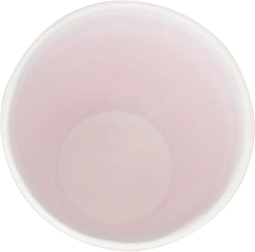 Vista 2 de G.E.T. SC-16-R - Vaso de plástico reutilizable para fiestas, sin BPA, 16 onzas, rojo (juego de 12)