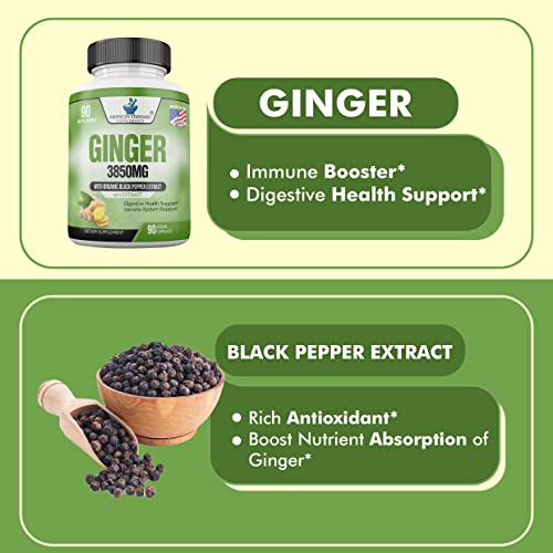 American Standard Supplements Organic Ginger 3850Mg Per Serving With Organic Black Pepper Extract thumb #3
