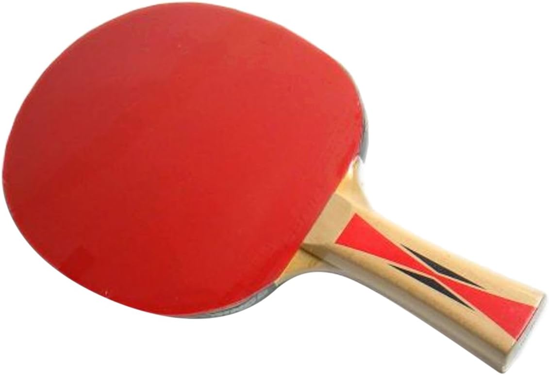 Donic Top Team 300 Table Tennis Bat