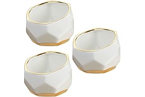 Kate Aspen Geometric Ceramic Planters: Mini Zen Oases for Your Home Décor