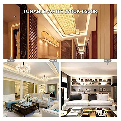 Image of COB LED Strip Lights, CCT Tunable White LED Tape Light 9.84ft /3m, 2700K-6500K, CRI90+, 24V Dimmable LED Strips Kit with Bluetooth APP Control, for Bedroom, Kitchen, DIY Lighting.