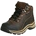 Timberland Pawtuckaway WaterPROof Hiking Boot (Toddler/Little Kid)