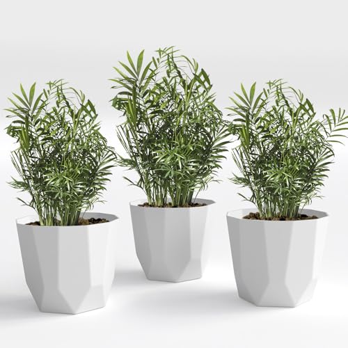 Image of YUCCABE ITALIA SHERA Hexa Plastic Planter Pot for Plants | Decorative Flower Pot | UV Protected Lightweight Indoor Outdoor Gamla for Home Decor, Balcony, Garden & Living Room