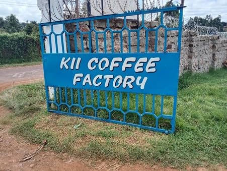 Antsti Fuel Kenya Washed Coffee Beans, Tostado Medio, En Grano, 1 lb miniatura 5