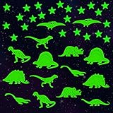 Hochwertige Produkte: Leuchtende Dinosaurier müssen tagsüber genügend Licht absorbieren, um im Dunkeln zu leuchten. Achten Sie daher auf acht Stunden Lichtzeit. Je länger sie direktem Licht ausgesetzt sind, desto länger leuchten sie Nacht.