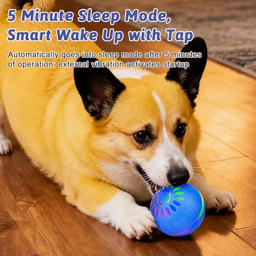 Pipihome Interaktives Hundespielzeug Ball, Hundeball Elektrisch Automatisch Rollender mit LED-Lichtern Spielball, Hundespielzeug Intelligenz für Kleine/mittlere/große Hunde, USB Wiederaufladbar