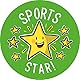 SuperStickers Sporttag Teilnahme Variety Sticker Pack (250 Aufkleber)