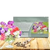 Outsidepride Pearl Mix Sweet Pea Seeds - 250 Pcs Perennial, Easy to Grow, Vine Seeds for Planting Fragrant, Long-Lasting Flowers with Free-Flowering Habit & Tall Size for Vertical Gardens