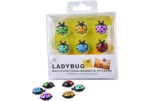 Multifunctional Ladybug Magnets to Keep Your Business Cards Organized