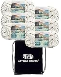 Lion Brand Hometown Aspen Tweed 135-302 (6-Skeins - Same Dye Lot) #6 S Bulky Acrylic Yarn for Crocheting and Knitting with Project Bag