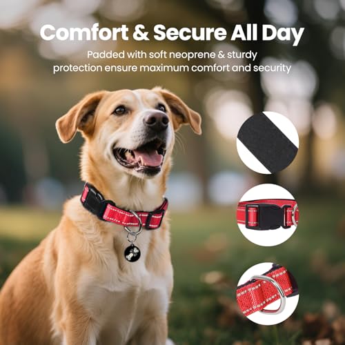 Collar reflectante para perro con hebilla ajustable, nylon rojo, talla S miniatura 3