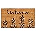 Calloway Mills AZ104992436 Pineapple Express Doormat, 24