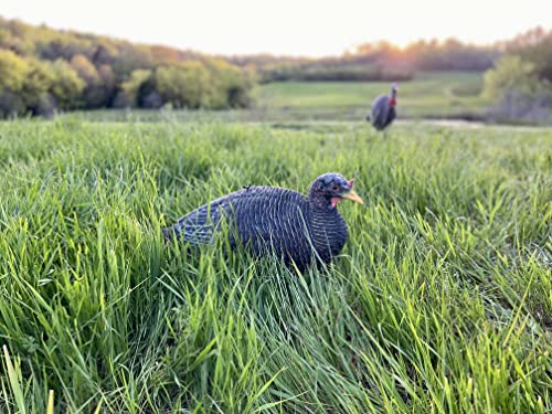 Bone Collector Laydown Hen Turkey Decoy | Laying Position Attracts Gobblers & Jakes - Thumbnail 2