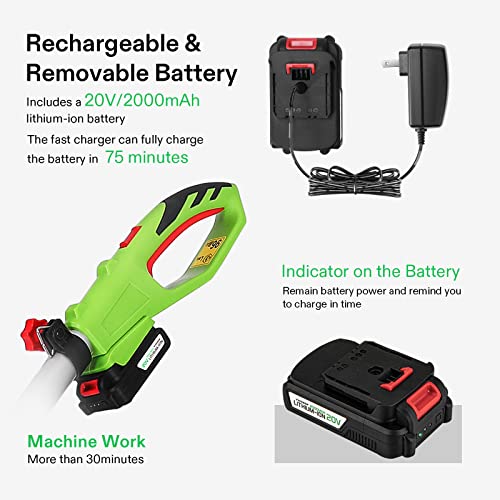 7 Best Extended Pole Hedge Trimmers of 2026