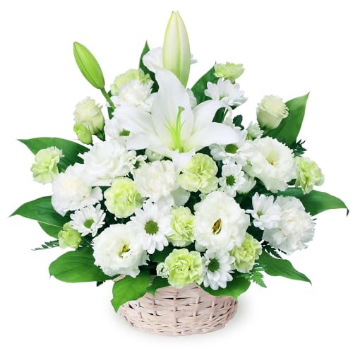 Ě݂ ԃL[sbg   @v @    ~ ފ ~V~ l\  ̃AWg yr00-524284