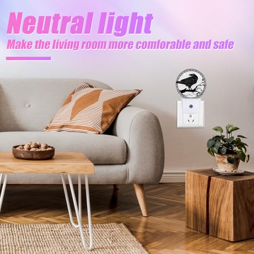 Image of Crow Night Light Black Bird Night Lights LED Lamp Round Plug into Wall Nightlight with Dusk to Dawn Sensor Home Hallway Stairway Kitchen Decor