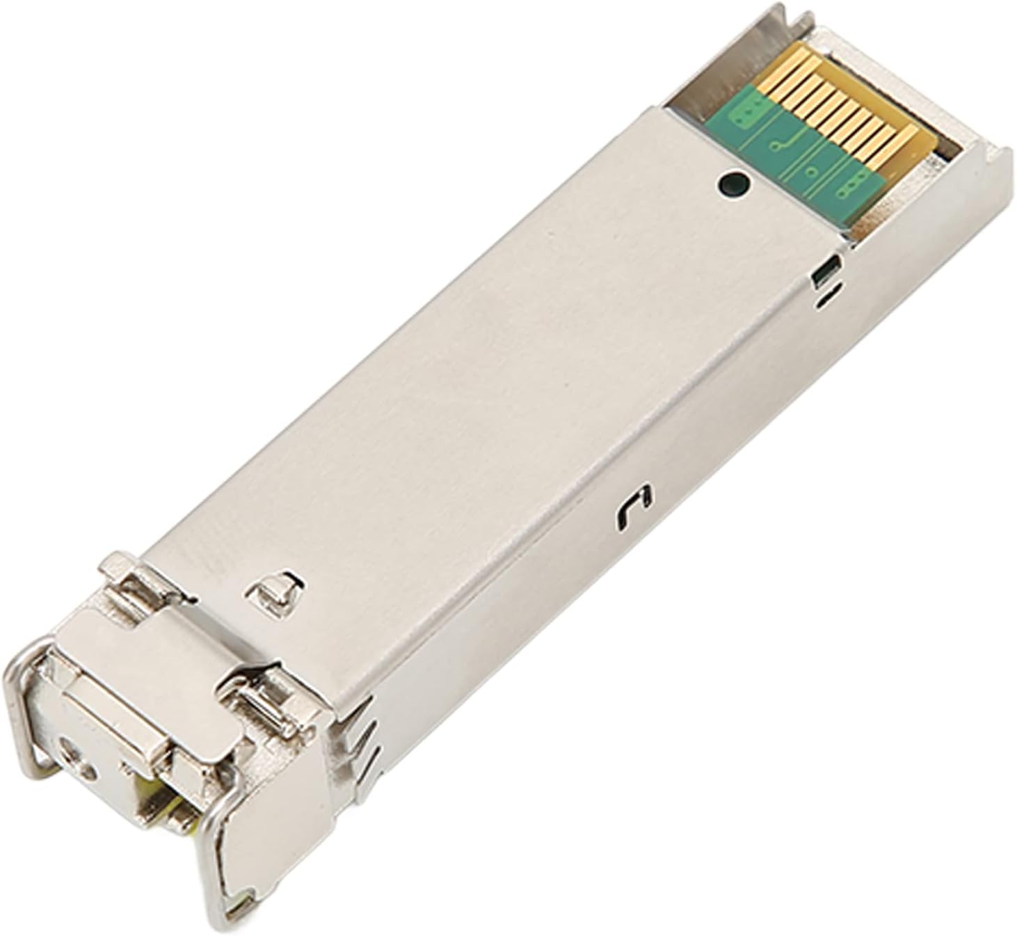 法螺貝 約40㎝ 木製歌口 赤紐付 新品 MH-415 伊万里焼 錦赤線 宝尽くし