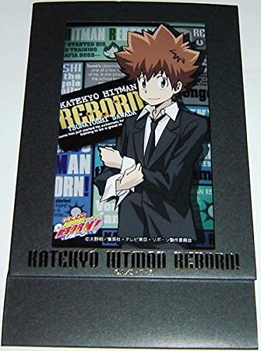 家庭教師ヒットマンREBORN! ツナ&プリーモ JF2012限定 生ブロマイド 家庭教師ヒットマンREBORN! JF2012限定 生ブロマイド ツナ